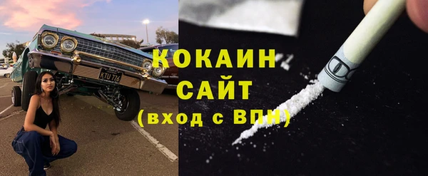 сатива Армянск