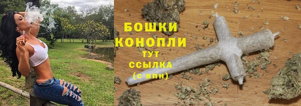 сатива Армянск