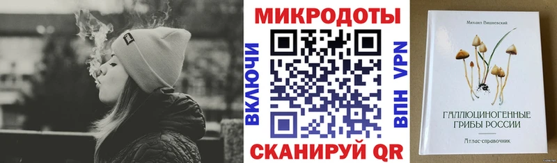 цена   Сурск  Псилоцибиновые грибы Psilocybe 